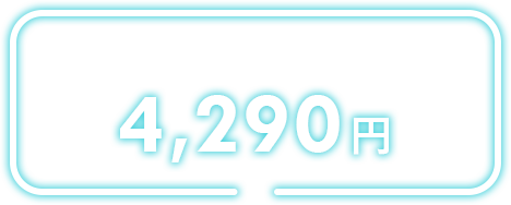 土・日・祝日4290円